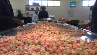 The dried fruit factory process [upl. by Leis477]