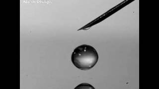 Watch the bouncing droplet [upl. by Darb]