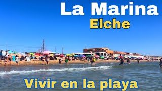 La Marina  Inusual PEDANIA de ELCHE 🏖️ emigrarconana [upl. by Alake119]