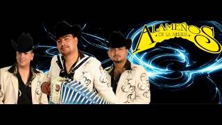 ANDO BIEN ARREGLADO Y CUMBIAS EN VIVO BY ALAMEÑOS DE LA SIERRA [upl. by Naesad337]