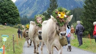 Alpabzug Klosters 14092013 [upl. by Ajssatsan]