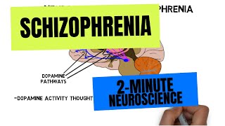 2Minute Neuroscience Schizophrenia [upl. by Barrie]