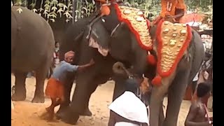 Elephants Rampage At Temple Function  Elephant Attack In Temple Festival [upl. by Narual579]