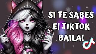 SI TE SABES EL TIKTOK BAILA  2024 💥 [upl. by Elleved461]