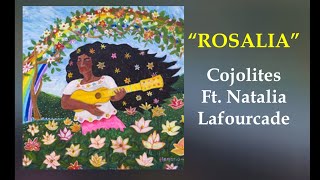 Los Cojolites Feat Natalia Lafourcade  Rosalia Lyrics Video [upl. by Joacimah]