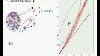 PREU Modular  Radiactividad III Video 3 de 3 [upl. by Avilys]