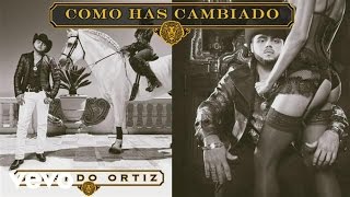 Gerardo Ortiz  Cómo Has Cambiado Audio [upl. by Ynaffad213]