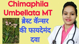 Chimaphila Umbellata Mother Tincture Uses in hindi [upl. by Dermott83]