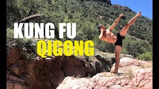 Powerful Kung Fu  Shaolin Qigong [upl. by Monroe]