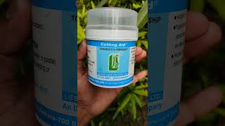 plant rooting hormone  rooting hormone powder  cutting aid powder  rooting powder reels shorts [upl. by Lehcin]