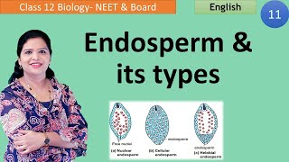 Endosperm Formation  Types of Endosperm Class 12 [upl. by Atalayah862]