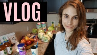 VLOG OCTOBER MONTHLY SPREAD GROCERY HAUL DR DRAY [upl. by Melantha]