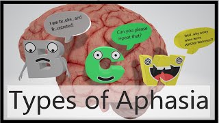 Aphasia Types Mnemonic [upl. by Mcilroy239]