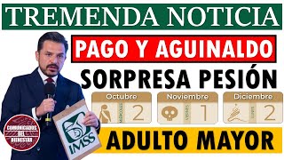 🔥💥TREMENDA NOTICIA PAGO Y AGUINALDO💥SORPRESA PENSION ADULTOS MAYORES💥 [upl. by Ahsiek]