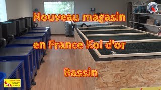 Nouveau magasin en France Koi dor Bassin [upl. by Bibbye417]