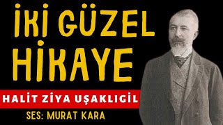 Halit Ziya Uşaklıgil quotİki Hikayequot Türk Edebiyatı Klasikleri Sesli Kitap İki Aşk Hikayesi [upl. by Jammin113]