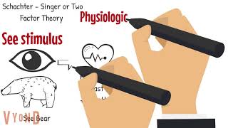 Theories of Emotion Explained [upl. by Enimsay]