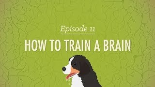 How to Train a Brain Crash Course Psychology 11 [upl. by Aiz]