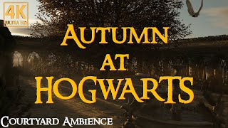 Harry Potter  Courtyard Serenades Autumn Atmosphere at Hogwarts [upl. by Eillak]