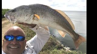 Amazing fishing trip to Titusville Florida 2019 [upl. by Oilut]