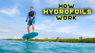 HYDROFOILS  How they work  The basics [upl. by Ingham]