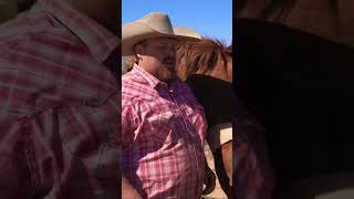 Roping Wild Bull on the Bundy Ranch Surrounded by Cows [upl. by Keg]