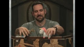 Critical Role  Bunions amp Flagons Grogs Game [upl. by Anad549]