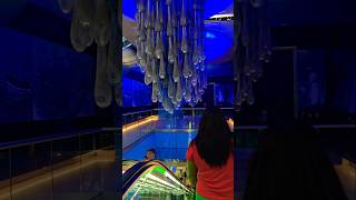 Burjuman metro station skhassan burjman dubai dubailife shortvideo travel youtubeshorts [upl. by Cousins]