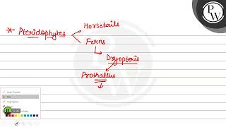 Which one of the following is correct a Protonema of moss and prothallus of Dryopteris are sp [upl. by Nittirb]