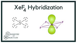 Hybridization of XeF4 Xenon Tetrafluoride [upl. by Romilda]