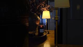 Rechargeable portable lamp homedecorideas homedecor [upl. by Anailuj]