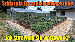 Szklarnia i grządki podwyższone Jak sprawuje się warzywnik  Warzywnik 7 [upl. by Enneibaf]