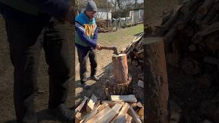 Master of Sports in Woodchopping woodchopping work master [upl. by Rheinlander]