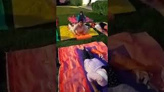 Makarasan n Bhujangasan 🧘🙏🥰 yogawellness DrManojYogacharya yogiclifestyle health [upl. by Sufur]