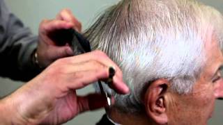 Mens Haircut  How to Cut Mens Hair with Scissors [upl. by Kauslick965]