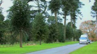 Great Trees of East Devon  The Bicton Monkey Puzzle Tree Ancient tree [upl. by Adnalra]