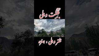 Beautiful Gilgit Valley Way to Nalter Valley and then Hunza Valley foryou foryoupage [upl. by Anrehs]