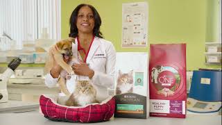 Alimento para cachorros y gatitos de Purina  Provéele una vida entera de salud a tu mascota [upl. by Rachaba629]