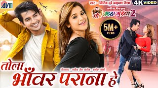 Mor Chhaiya Bhuiya 2  Cg Movie Song  Tola Bhanwar Parana He  Chhattisgarhi Gana Deepak Elsa AVM [upl. by Thornie]