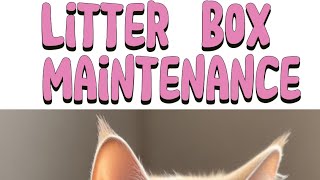 Cat Litter Box Maintenancecat hygiene petsafe litter box [upl. by Pooi]