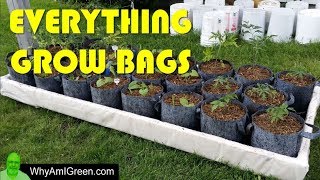 Grow Bags 101  Welcome to my Grow Bag Urban Homestead [upl. by Fortunna]