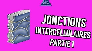 03  Les Jonctions intercellulaires Partie 1 [upl. by Laefar861]