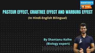 Pasteur effect  Crabtree effect  Warburg effect  In Hindi  CSIR NET  GATE  Shantanu Kolhe [upl. by Macmahon]