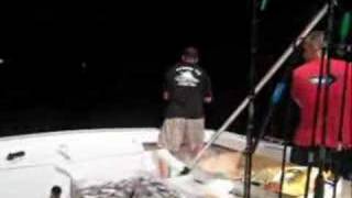 Yellowfin Tuna Fishing Lindenkohl Canyon New Jersey [upl. by Carlota]