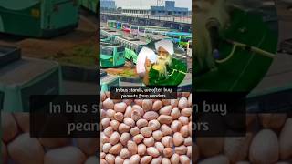 Benefits of peanuts for soil enriching மண்ணை வளப்படுத்தும் வேர்க்கடலையின் நன்மைகள் [upl. by Urien703]