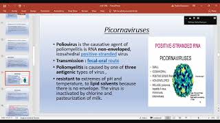 Revision on microbiology part 2 Dr Rasha [upl. by Zippora]