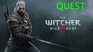 The Witcher 3 Wild Hunt  QUEST Temerischer Schatz [upl. by Newkirk]