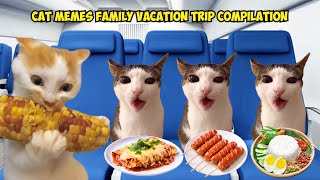 CAT MEMES Family Vacation Trip Compilation [upl. by Barling]