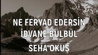 Ne Feryad Edersin Divane Bülbül  Seha Okuş Senin Bu Feryadın Gülşene Kalsın [upl. by Far]