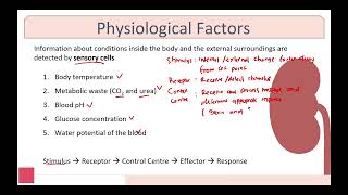 Chapter 14 Homeostasis Biology Cambridge A Level [upl. by Inez985]